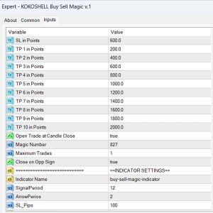 Buy Sell Magin EA Settings