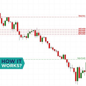 KOKOSHELL Expert trading v.1 (002)